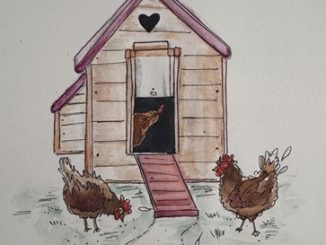 Hens around hen house