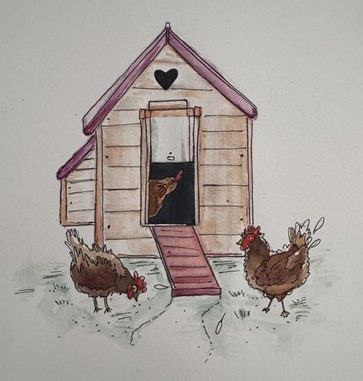 Hens around hen house
