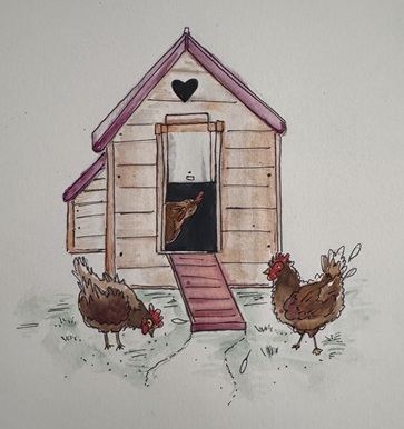 Hens around hen house